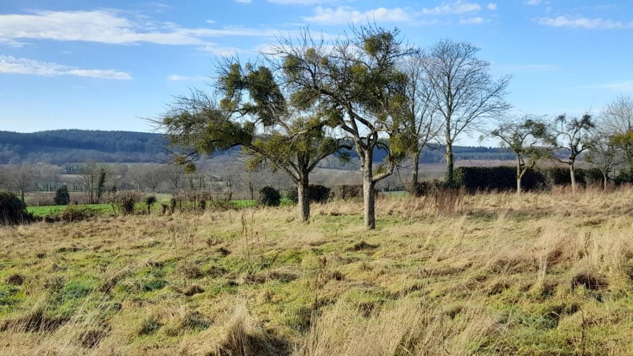 Gite Cottage Chaleureux En Pleine Campagne Vue Sur Les Monts Et Forets Et Le Chateau De Carrouges Bagian luar foto